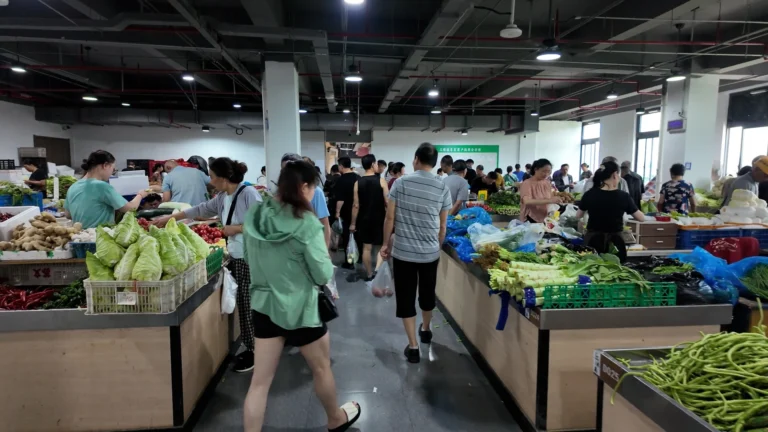 沉浸式买菜，全程无需现金，苏州朱巷农贸市场