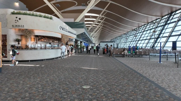 🚶‍♂️上海浦东国际机场T2｜沉浸式随行体验 ✈️ 边走边看候机楼全景07
